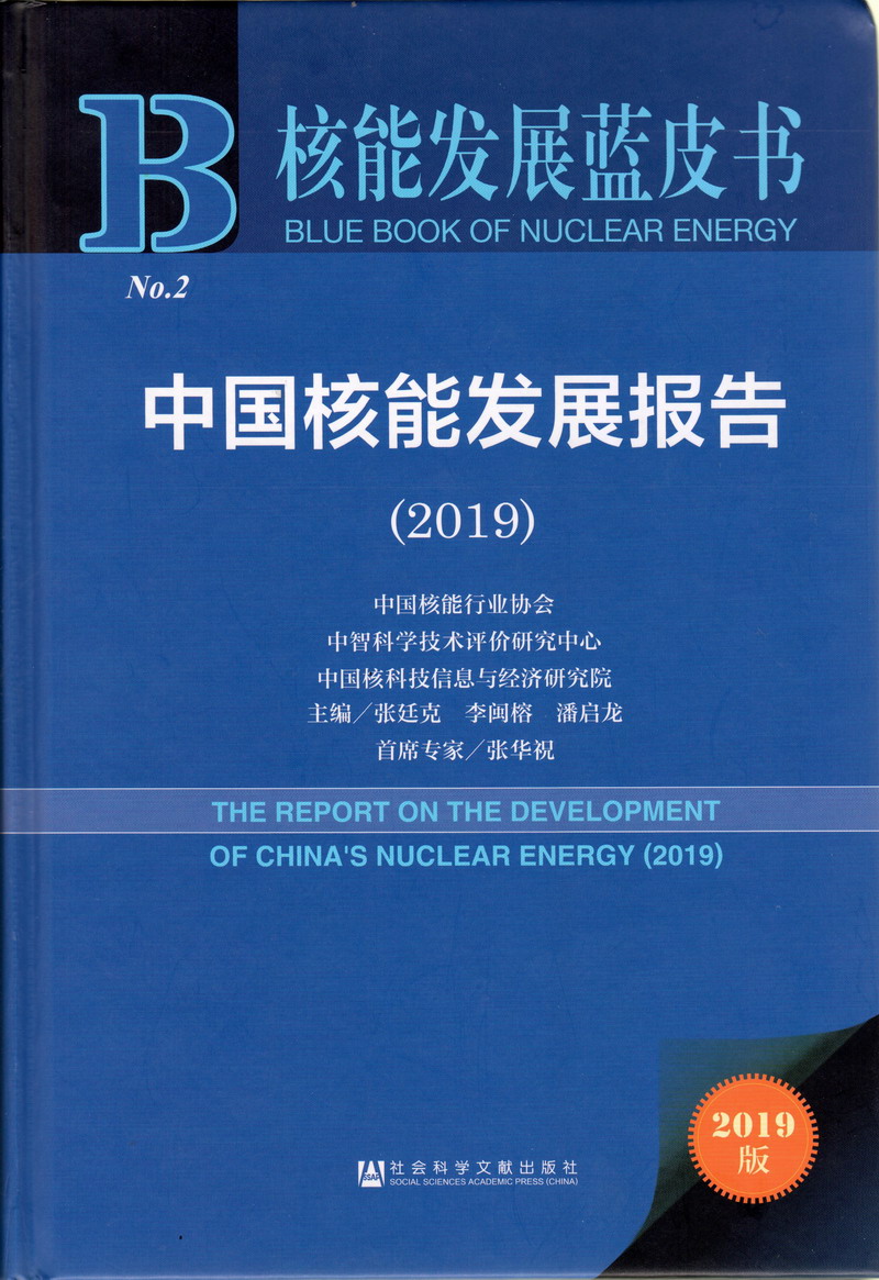 电肏骚屄中国核能发展报告（2019）
